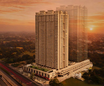 Paradise Group Sai World Legend